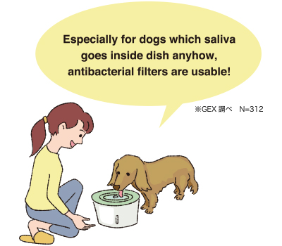 Especially for dogs which saliva
goes inside dish anyhow, antibacterial filters are usable!