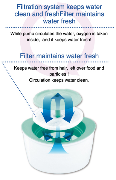 Filtration system keeps water clean and fresh. Filter maintains water fresh.