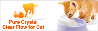 Pure Crystal Clear Flow for CAT