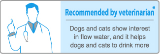 Recommended by veterinarian*