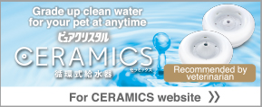 For CERAMICS website