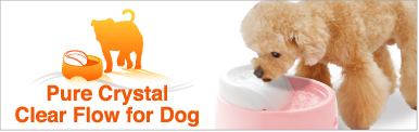 Pure Crystal Clear Flow for Dog