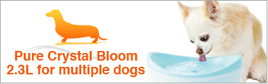 Pure Crystal Bloom 2.3L for multiple dogs