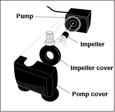 Pump structure