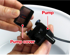 Remove pump cover