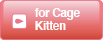 for Cage Kitten