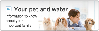 Your pet and water