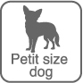 Petit size dog