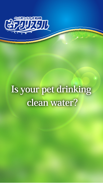 Is your pet drinking clean water?