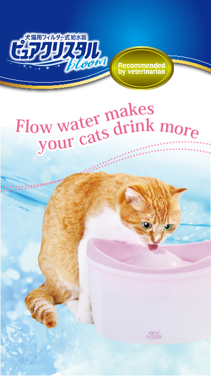 Flow water makes your cats drink more!