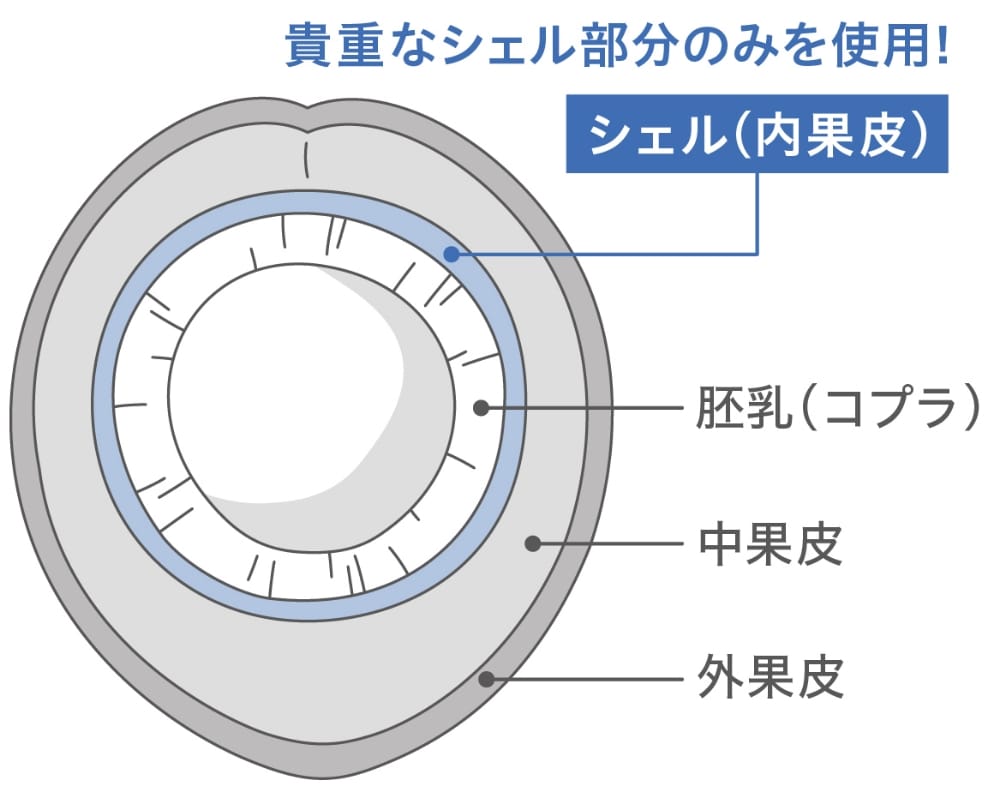 貴重なシェル部分のみを使用!