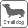 Small dog