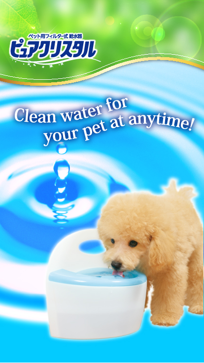 Clean water for your pet at anytime!