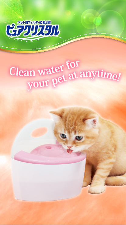 Clean water for your pet at anytime!