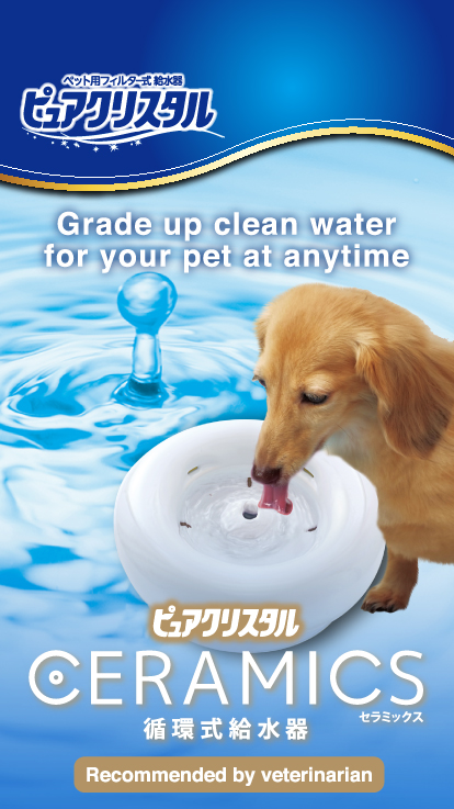 Grade up clean water for your pet at anytime